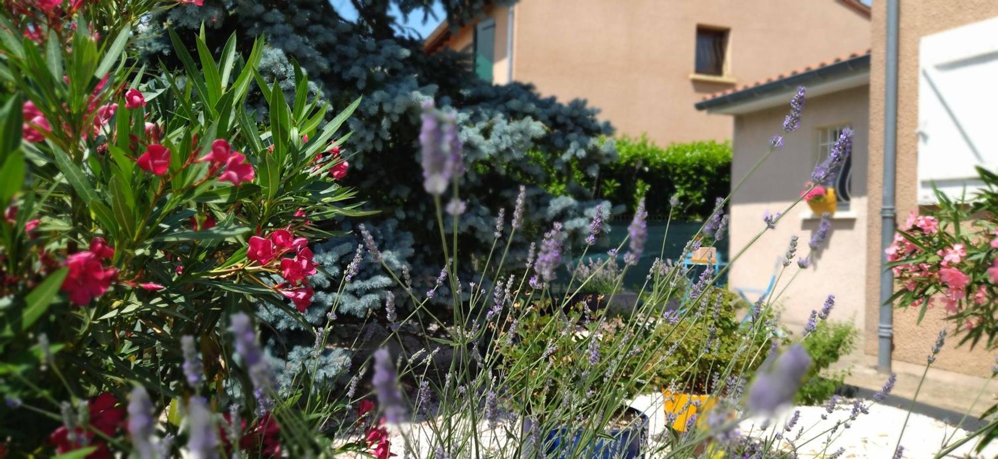 Fleurs De Cosmos Bed and Breakfast Albi Exterior foto